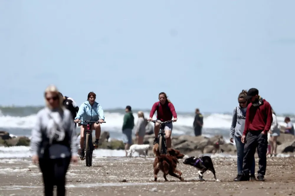 WhatsApp Image 2025-11-24 at 22.44.58