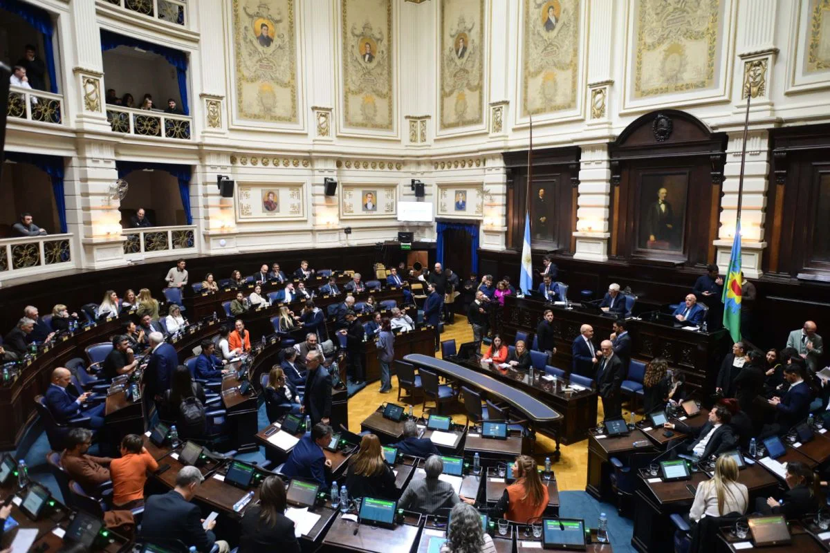 fefim diputados