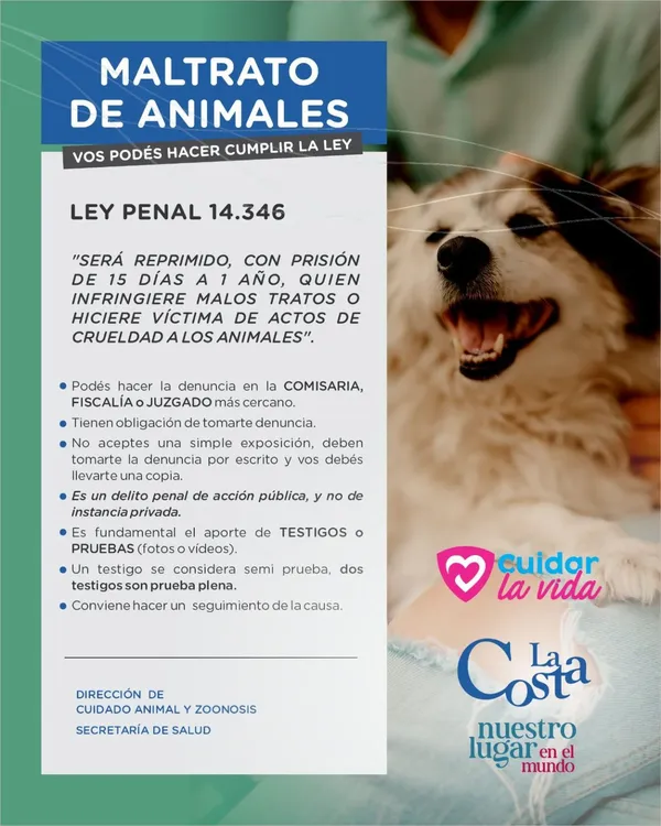 maltrato animal