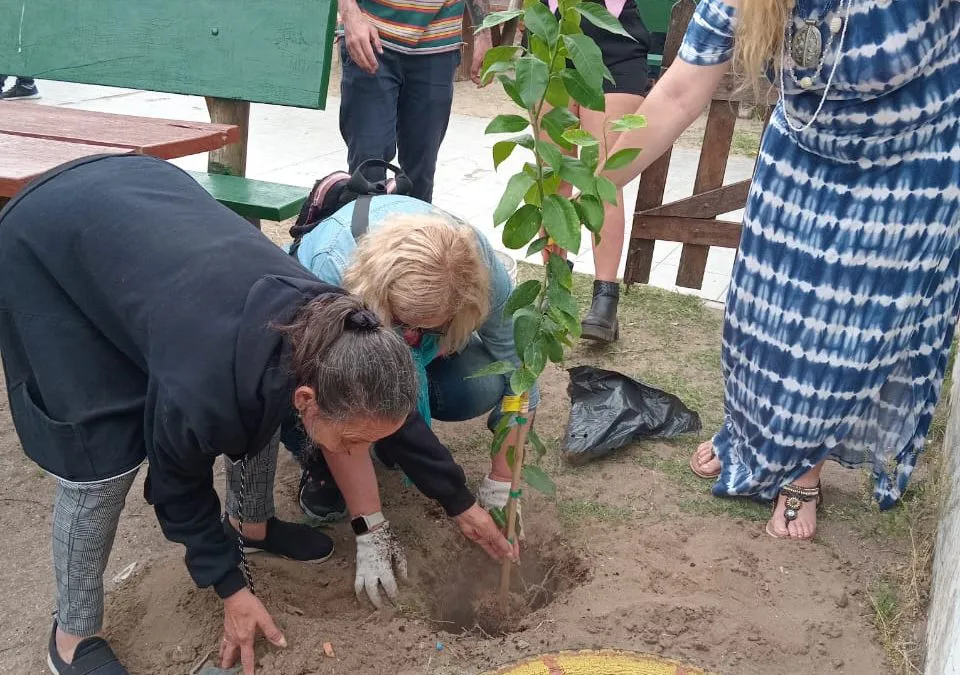 arbol