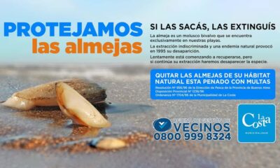 Flyer de concientización sobre la extracción de las almejas