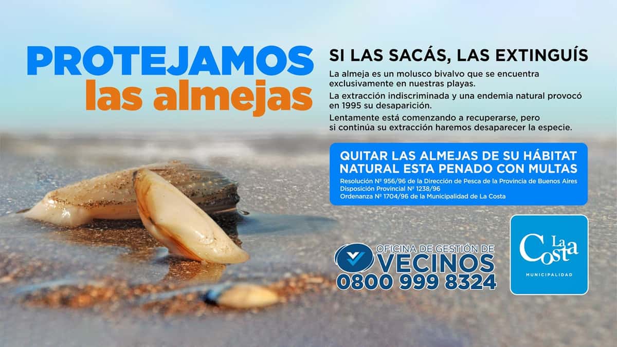 Flyer de concientización sobre la extracción de las almejas